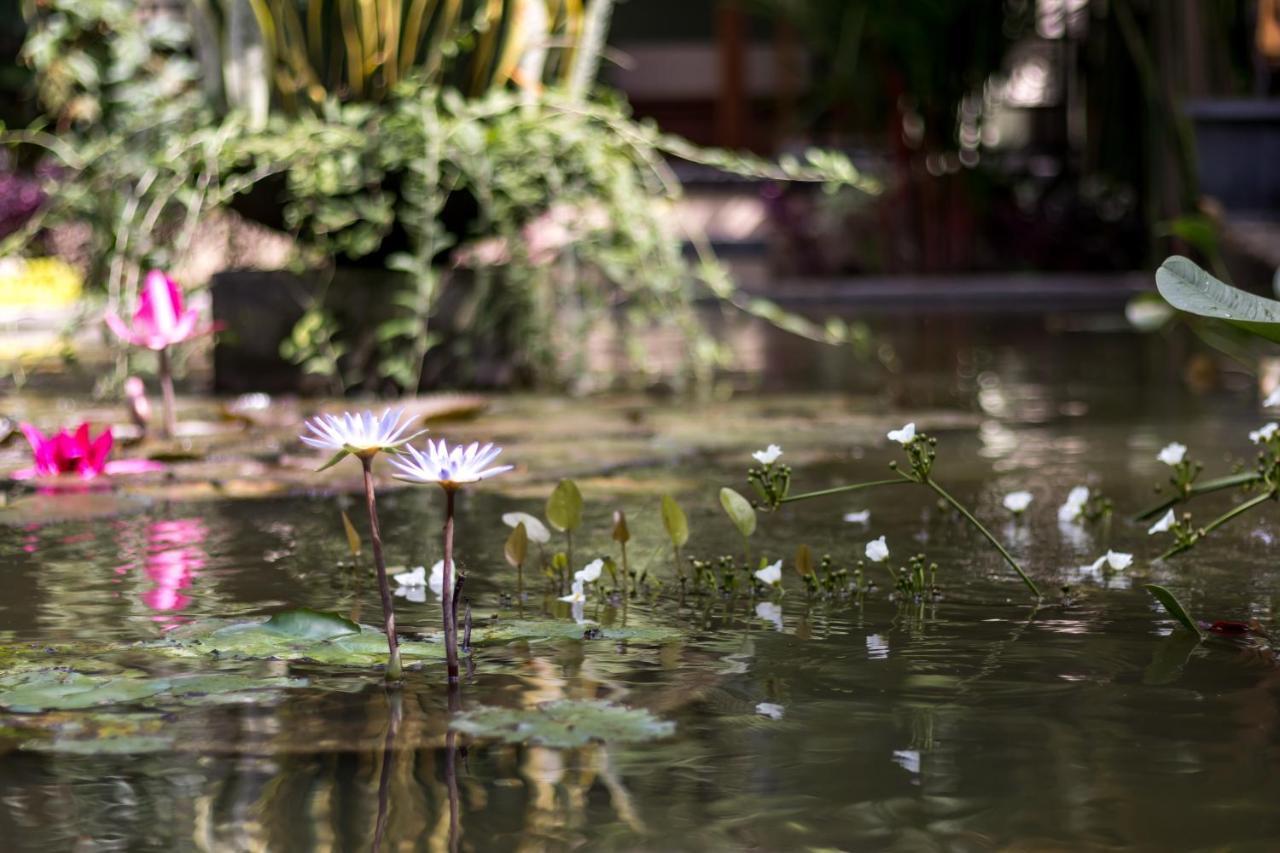 Hidden Padma Retreat Hotel Ubud